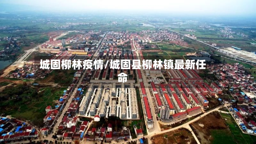 城固柳林疫情/城固县柳林镇最新任命-第2张图片