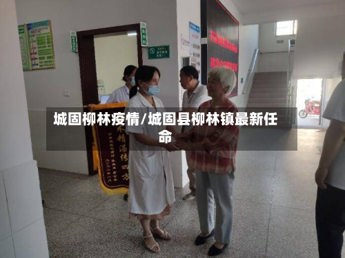 城固柳林疫情/城固县柳林镇最新任命-第3张图片