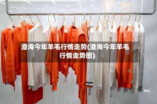澄海今年羊毛行情走势(澄海今年羊毛行情走势图)-第1张图片