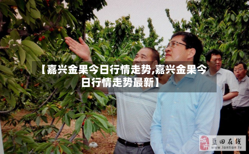 【嘉兴金果今日行情走势,嘉兴金果今日行情走势最新】-第2张图片