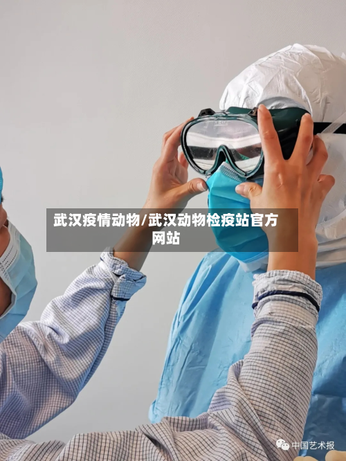 武汉疫情动物/武汉动物检疫站官方网站-第3张图片