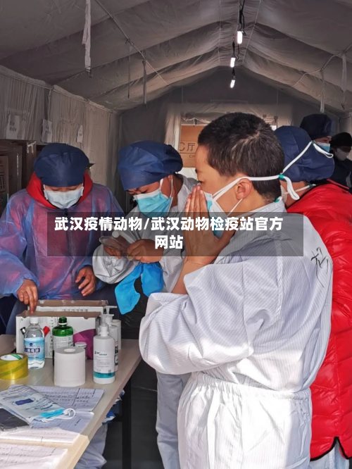 武汉疫情动物/武汉动物检疫站官方网站-第1张图片