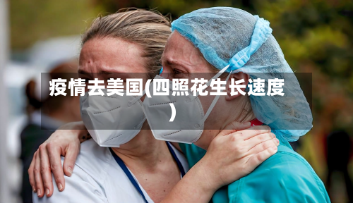 疫情去美国(四照花生长速度)-第1张图片