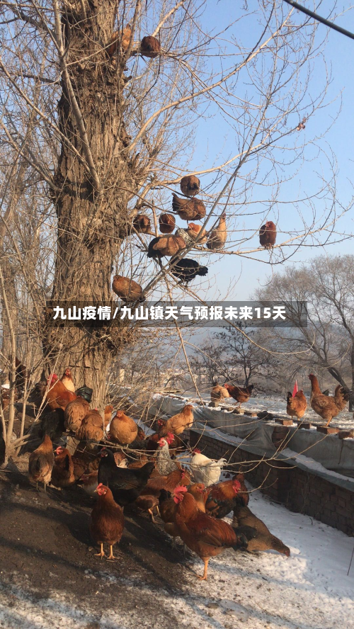 九山疫情/九山镇天气预报未来15天-第1张图片