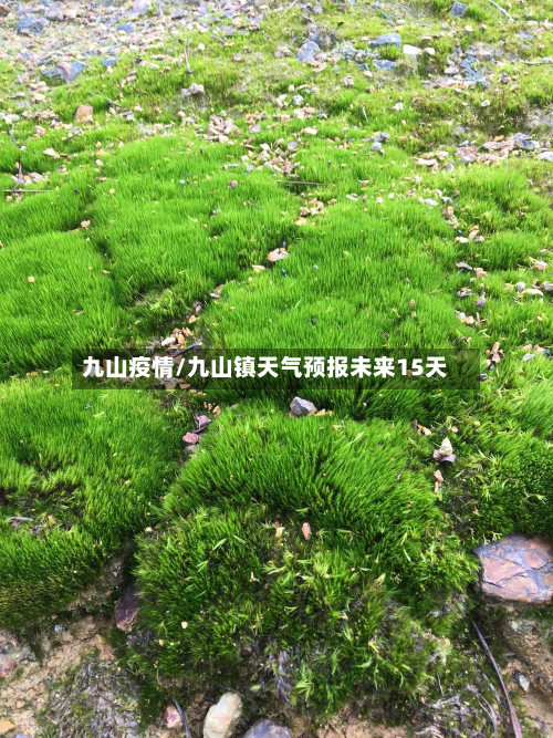 九山疫情/九山镇天气预报未来15天-第3张图片