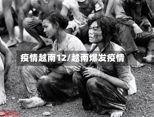 疫情越南12/越南爆发疫情-第1张图片