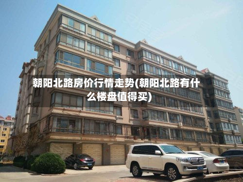 朝阳北路房价行情走势(朝阳北路有什么楼盘值得买)-第2张图片