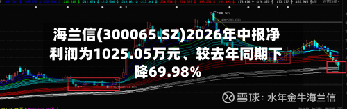 海兰信(300065.SZ)2026年中报净利润为1025.05万元、较去年同期下降69.98%-第2张图片