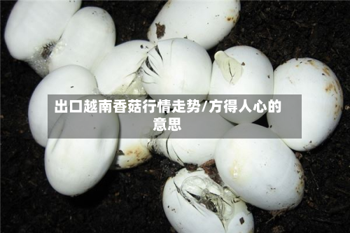 出口越南香菇行情走势/方得人心的意思-第2张图片