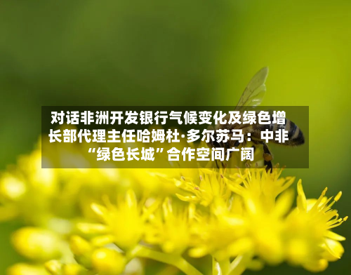 对话非洲开发银行气候变化及绿色增长部代理主任哈姆杜·多尔苏马：中非“绿色长城”合作空间广阔-第1张图片