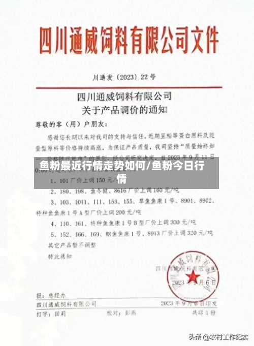 鱼粉最近行情走势如何/鱼粉今日行情-第3张图片
