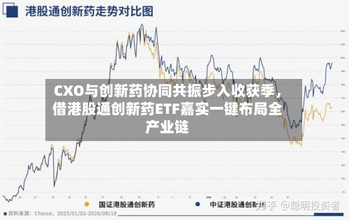 CXO与创新药协同共振步入收获季，借港股通创新药ETF嘉实一键布局全产业链-第2张图片