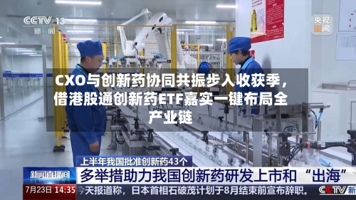 CXO与创新药协同共振步入收获季，借港股通创新药ETF嘉实一键布局全产业链-第3张图片