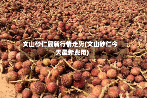 文山砂仁最新行情走势(文山砂仁今天最新费用)-第2张图片