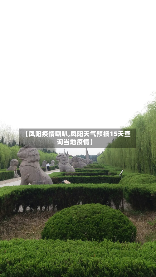 【凤阳疫情喇叭,凤阳天气预报15天查询当地疫情】-第3张图片
