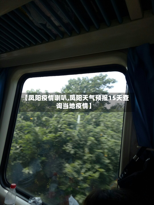 【凤阳疫情喇叭,凤阳天气预报15天查询当地疫情】-第2张图片