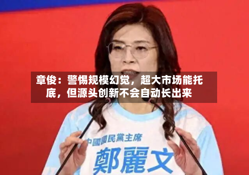 章俊：警惕规模幻觉	，超大市场能托底，但源头创新不会自动长出来-第1张图片