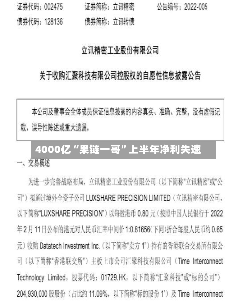 4000亿“果链一哥”上半年净利失速-第2张图片