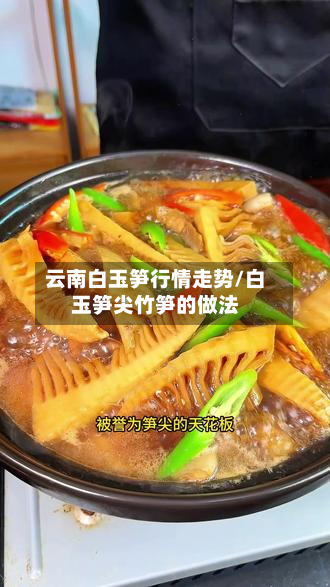 云南白玉笋行情走势/白玉笋尖竹笋的做法-第1张图片