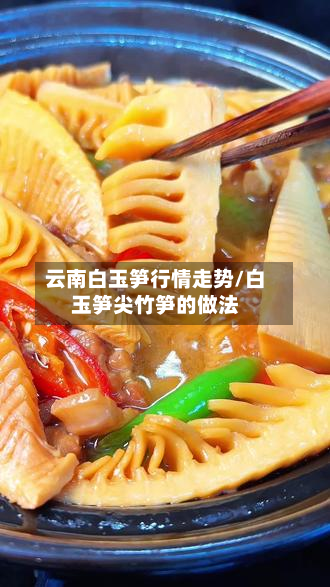 云南白玉笋行情走势/白玉笋尖竹笋的做法-第2张图片