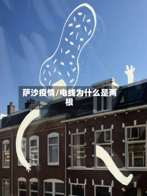 萨沙疫情/电线为什么是两根-第1张图片