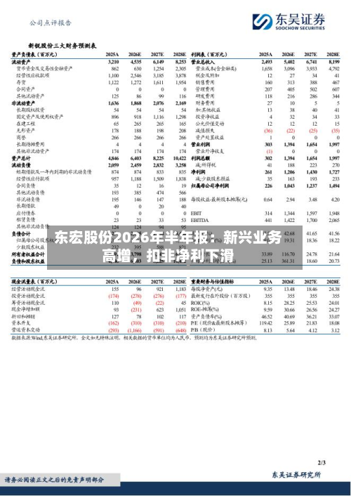 东宏股份2026年半年报：新兴业务高增，扣非净利下滑-第3张图片