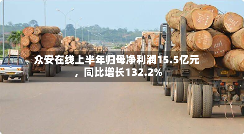 众安在线上半年归母净利润15.5亿元	，同比增长132.2%-第1张图片