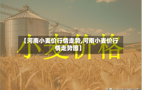 【河南小麦价行情走势,河南小麦价行情走势图】-第3张图片
