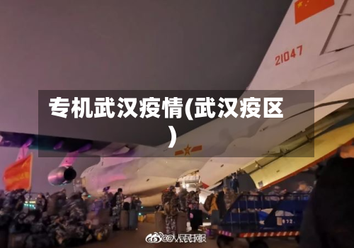 专机武汉疫情(武汉疫区)-第1张图片