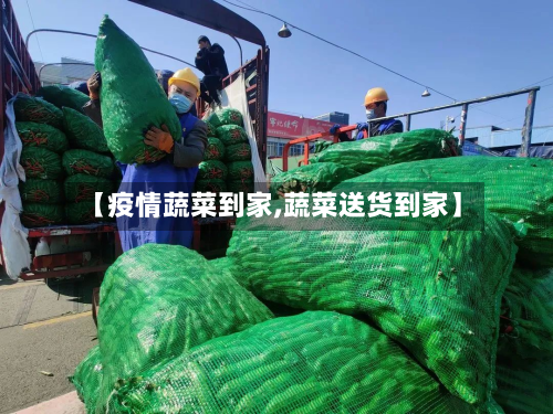 【疫情蔬菜到家,蔬菜送货到家】-第1张图片