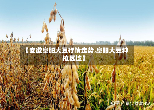 【安徽阜阳大豆行情走势,阜阳大豆种植区域】-第2张图片
