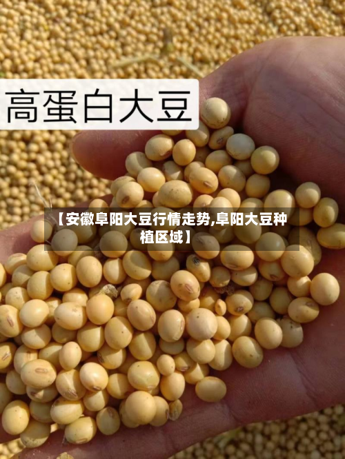 【安徽阜阳大豆行情走势,阜阳大豆种植区域】-第1张图片