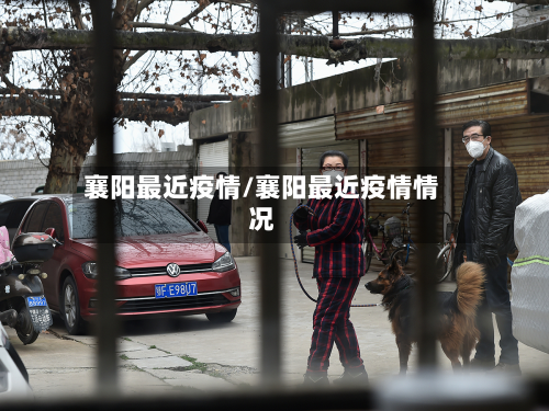 襄阳最近疫情/襄阳最近疫情情况-第1张图片