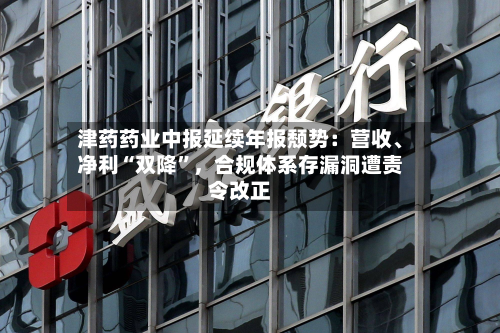 津药药业中报延续年报颓势：营收、净利“双降	”，合规体系存漏洞遭责令改正-第2张图片