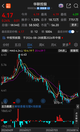 华联控股产业转型突然遇阻，拟投资阿根廷锂盐湖项目触发审查
